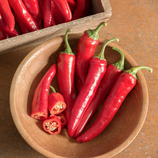 Cayenne Pepper, Red Ember