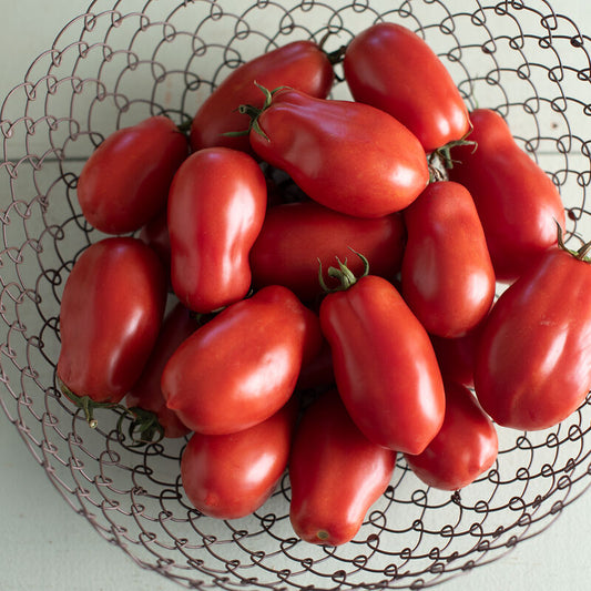 Tomato, San Marzano II