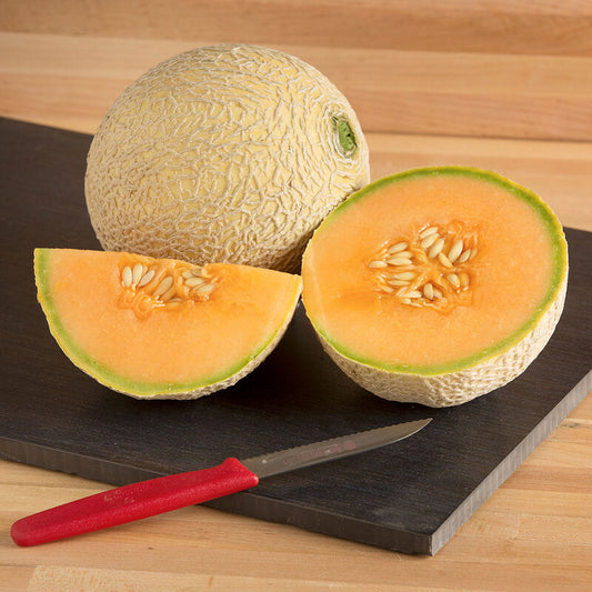 Melon, Sugar Cube Cantaloupe