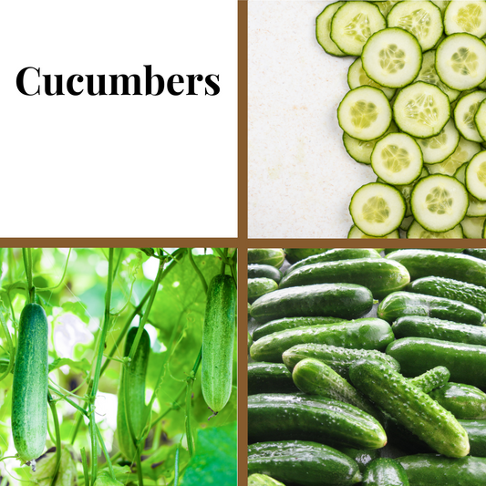 Cucumber, Straight 8