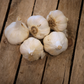 German White Garlic - Heirloom with European roots