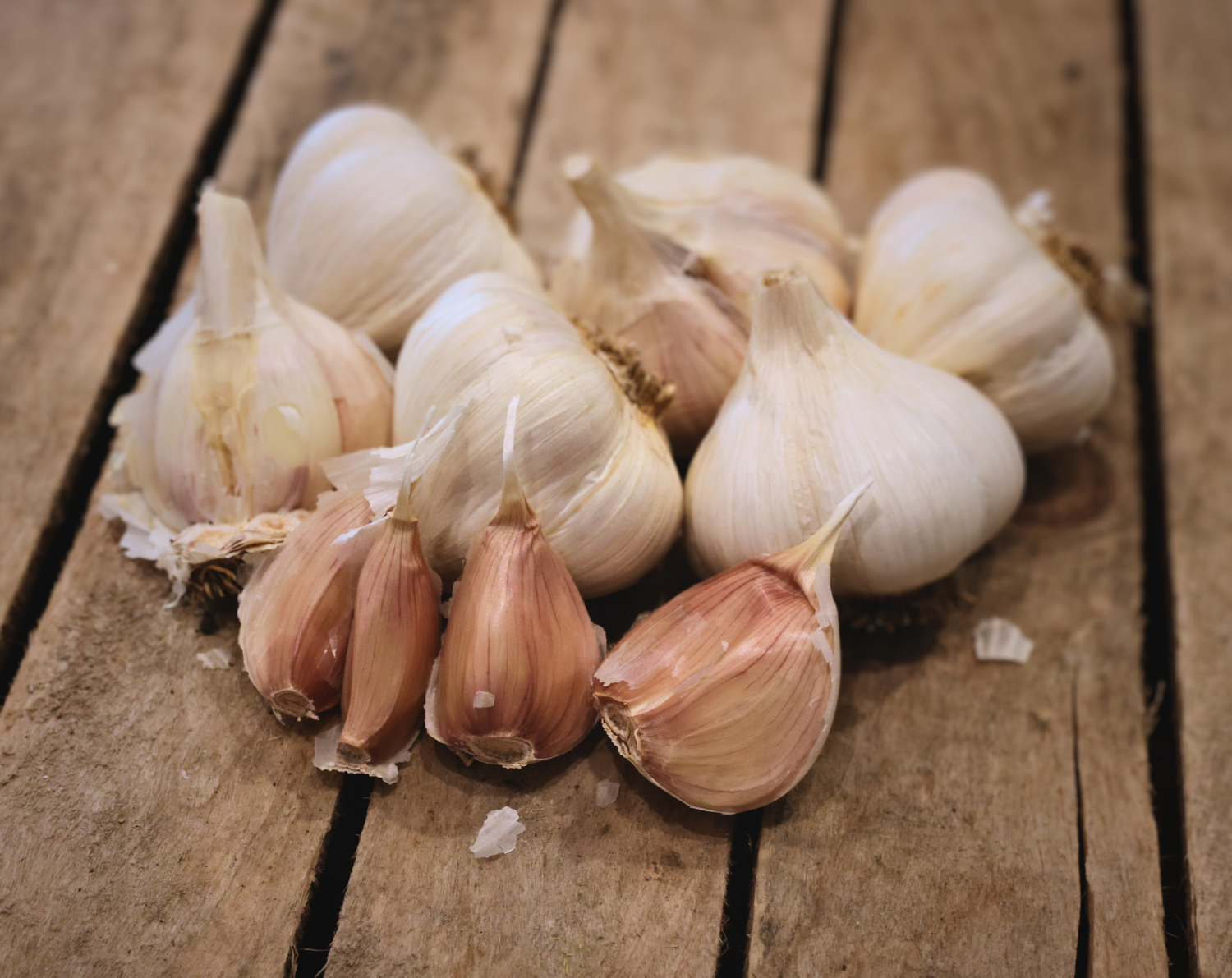 Garlic and Onion Sets