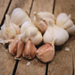 Garlic Connoisseur's Sampler Pack: Discover the Symphony of Flavors!