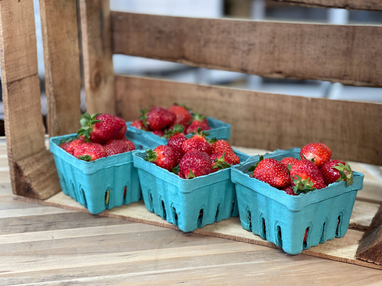PREORDER: Chandler Strawberry Plants - Fall Planting for Spring Harvest