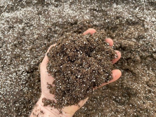 Certified Organic Seed Starting Soil