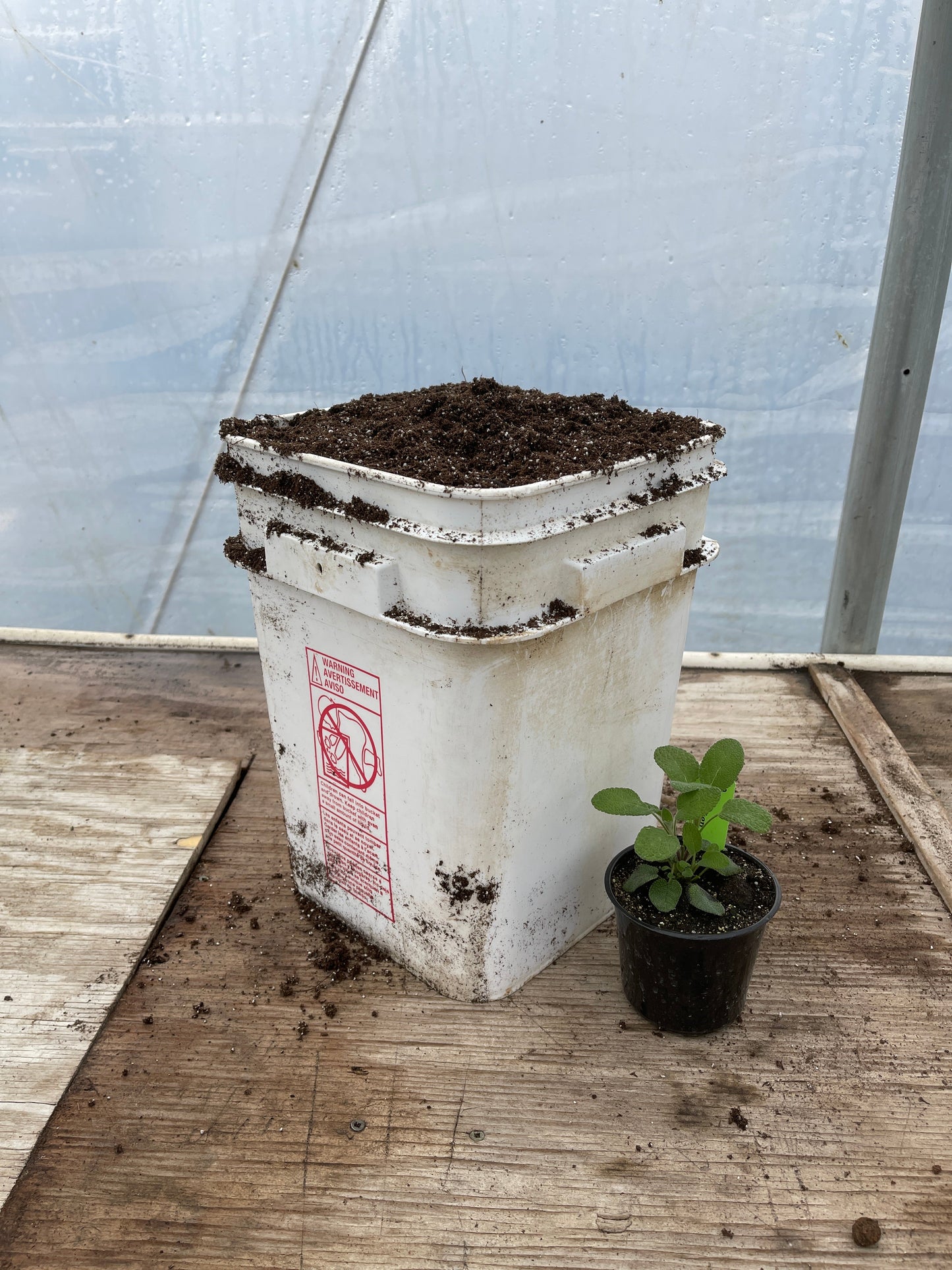 Certified Organic Seed Starting Soil