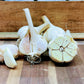 Garlic Connoisseur's Sampler Pack: Discover the Symphony of Flavors!