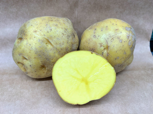 Natascha Potato: A High-Yielding, Early Midseason Variety