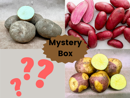 Potato Mystery Box