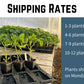 shipping rates for live garden plants