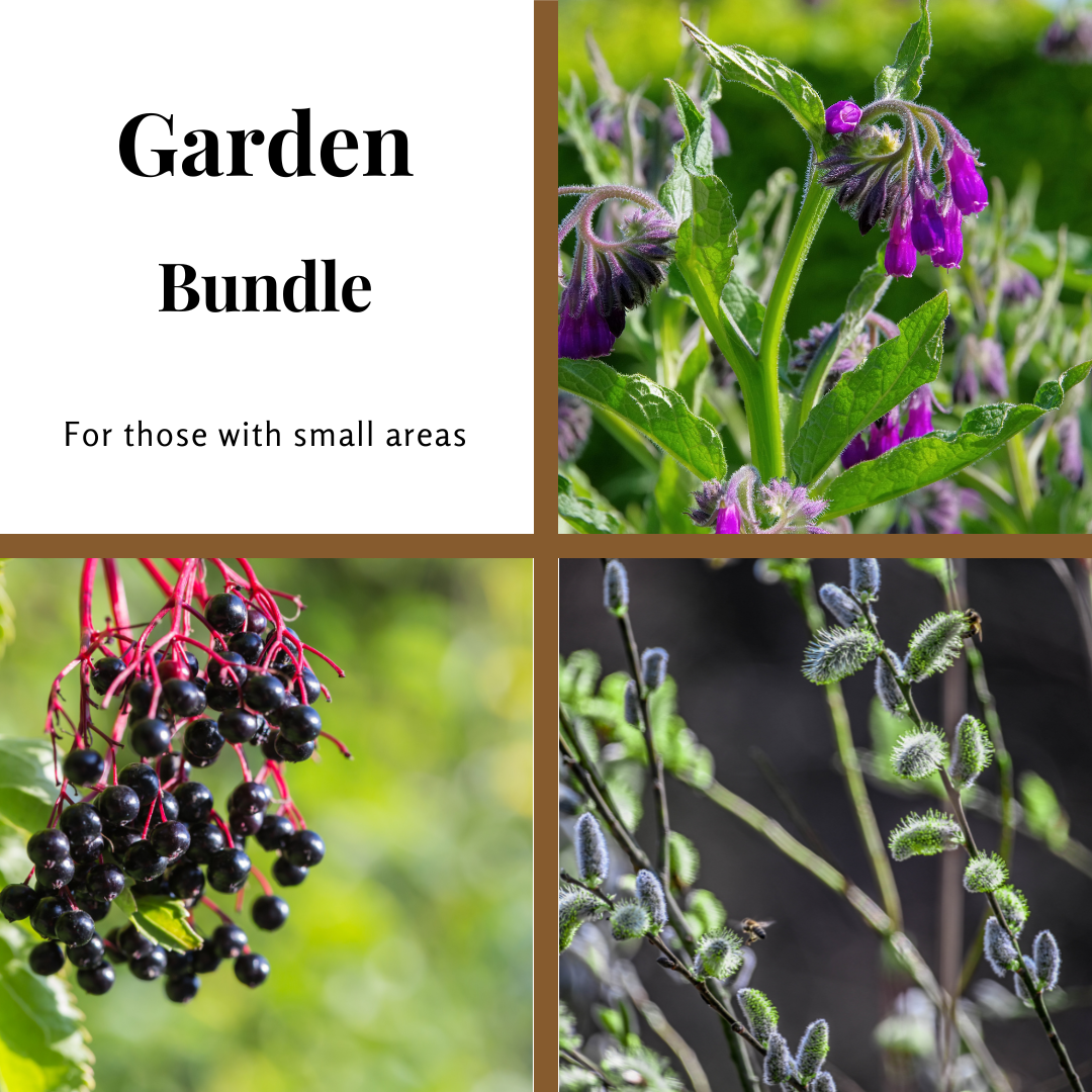 Thriving Gardener Bundle